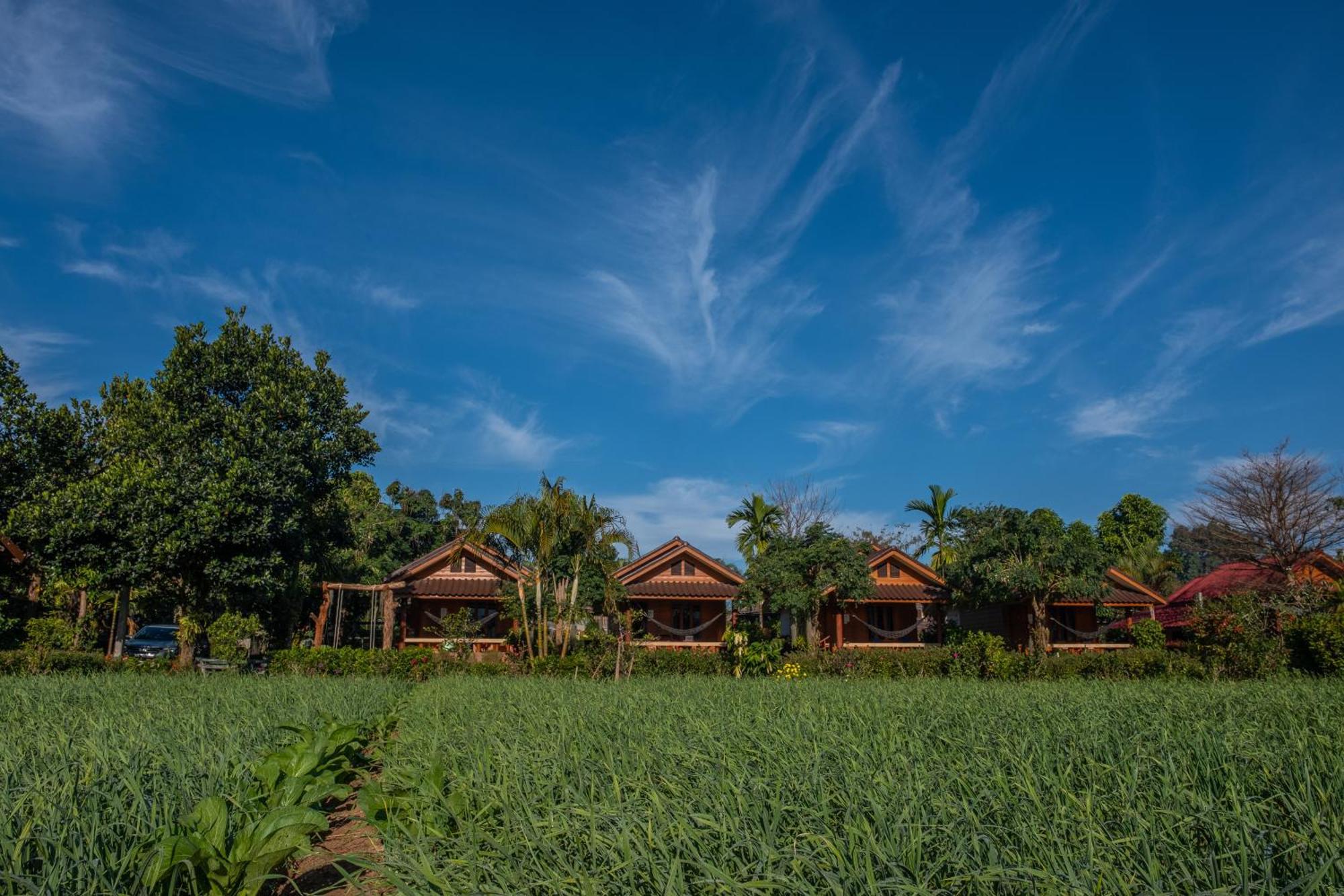 Отель The Nest House Пай Экстерьер фото